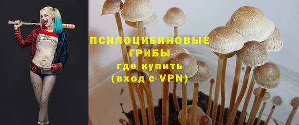 винт Бородино