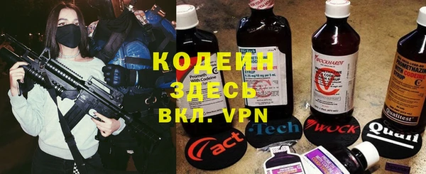 ешки Снежногорск